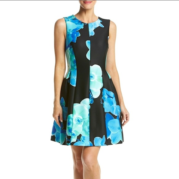 Calvin Klein Blue Floral Print Black Scuba Dress Sleeveless Fit n Flare sz 6 8 - Picture 15 of 16